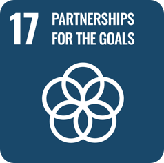 partnerships-for-the-goals